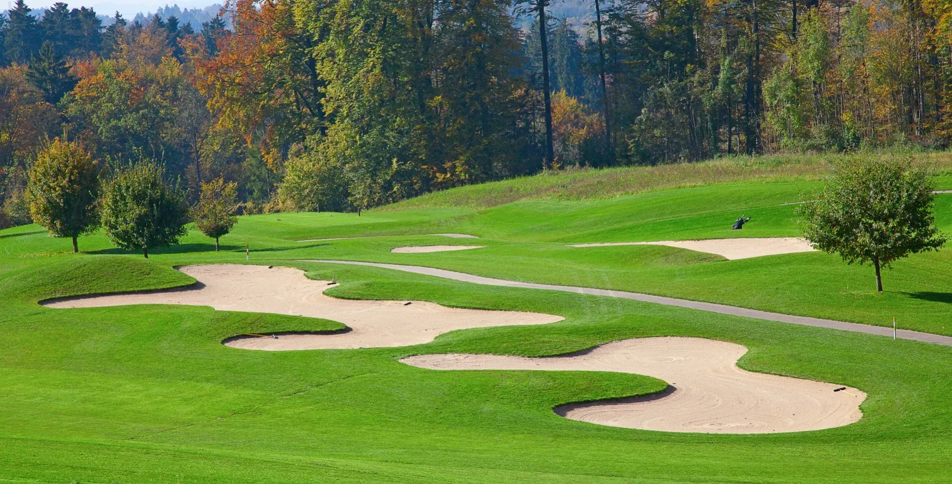 Vue panoramique d’un parcours de golf verdoyant bordé d’arbres en automne.